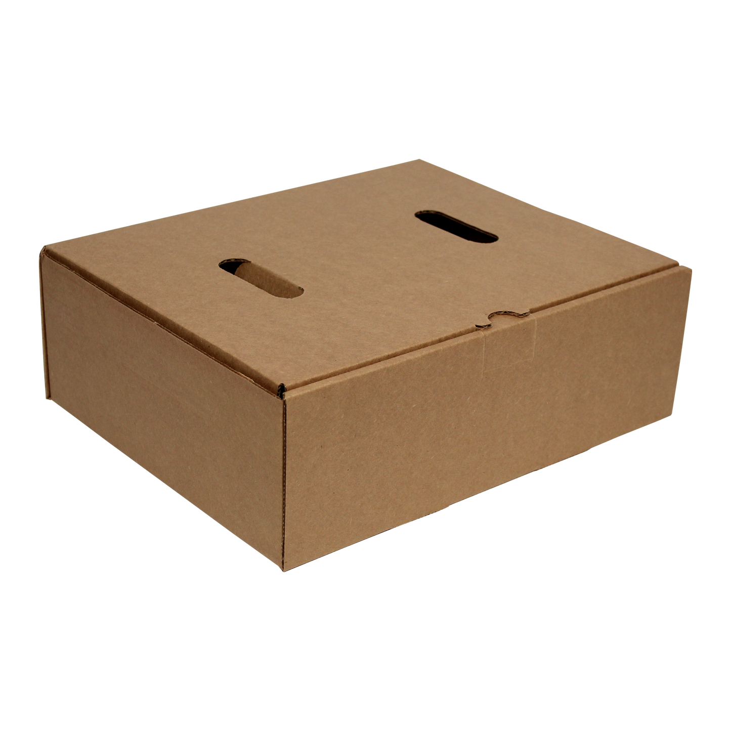 Saf-T-Pak® STP-342 - Replacement Inner Box for STP-340 ( UN 3373), 25/Case